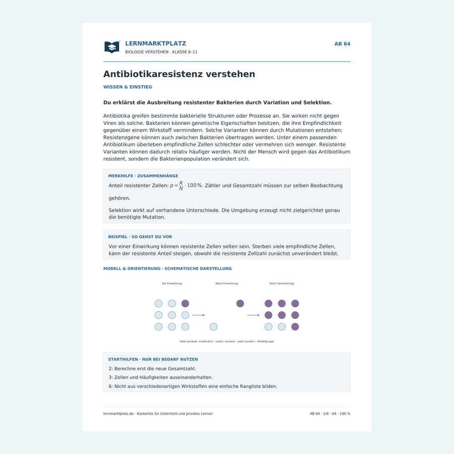 Antibiotikaresistenz verstehen – Vorschau des Arbeitsblatts