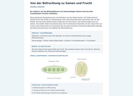 Von der Befruchtung zu Samen und Frucht – Vorschau des Arbeitsblatts