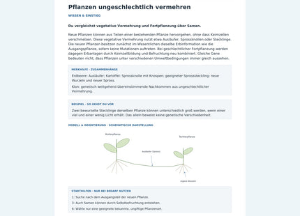 Pflanzen ungeschlechtlich vermehren – Vorschau des Arbeitsblatts
