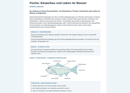 Fische: Körperbau und Leben im Wasser – Vorschau des Arbeitsblatts