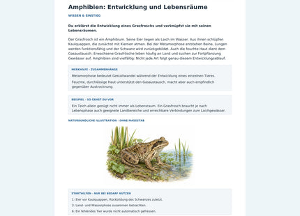 Amphibien: Entwicklung und Lebensräume – Vorschau des Arbeitsblatts