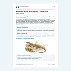 Reptilien: Haut, Atmung und Temperatur – kostenloses Biologie-Arbeitsblatt mit Lösungen (PDF)