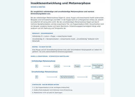 Insektenentwicklung und Metamorphose – Vorschau des Arbeitsblatts