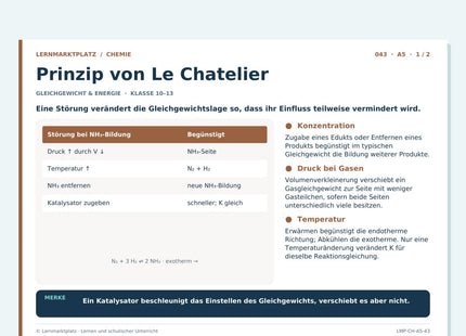Chemie: Prinzip von Le Chatelier – A5-Lernkarte mit Selbstcheck