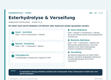 Chemie: Esterhydrolyse & Verseifung – A5-Lernkarte mit Selbstcheck