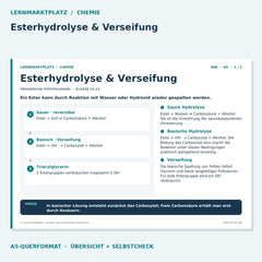 Esterhydrolyse & Verseifung – Chemie Lernkarte A5