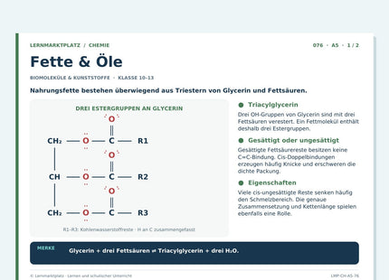 Chemie: Fette & Öle – A5-Lernkarte mit Selbstcheck