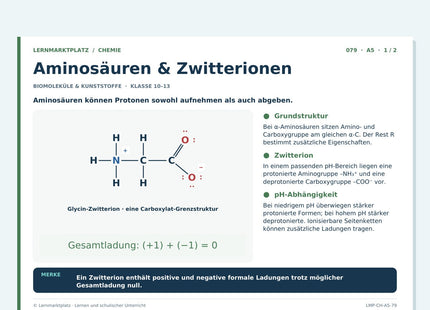 Chemie: Aminosäuren & Zwitterionen – A5-Lernkarte mit Selbstcheck