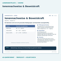 Ionennachweise & Beweiskraft – Chemie Lernkarte A5