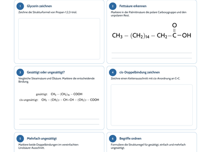 Fette, Fettsäuren und Verseifung intensiv – Chemie-Arbeitsblatt mit Lösungen