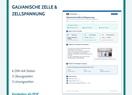 Chemie-Arbeitsblatt galvanische Zelle und Zellspannung mit Lösungen