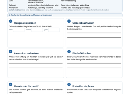 Vorschau des Chemie-Arbeitsblatts Qualitative Analyse: Ionen nachweisen