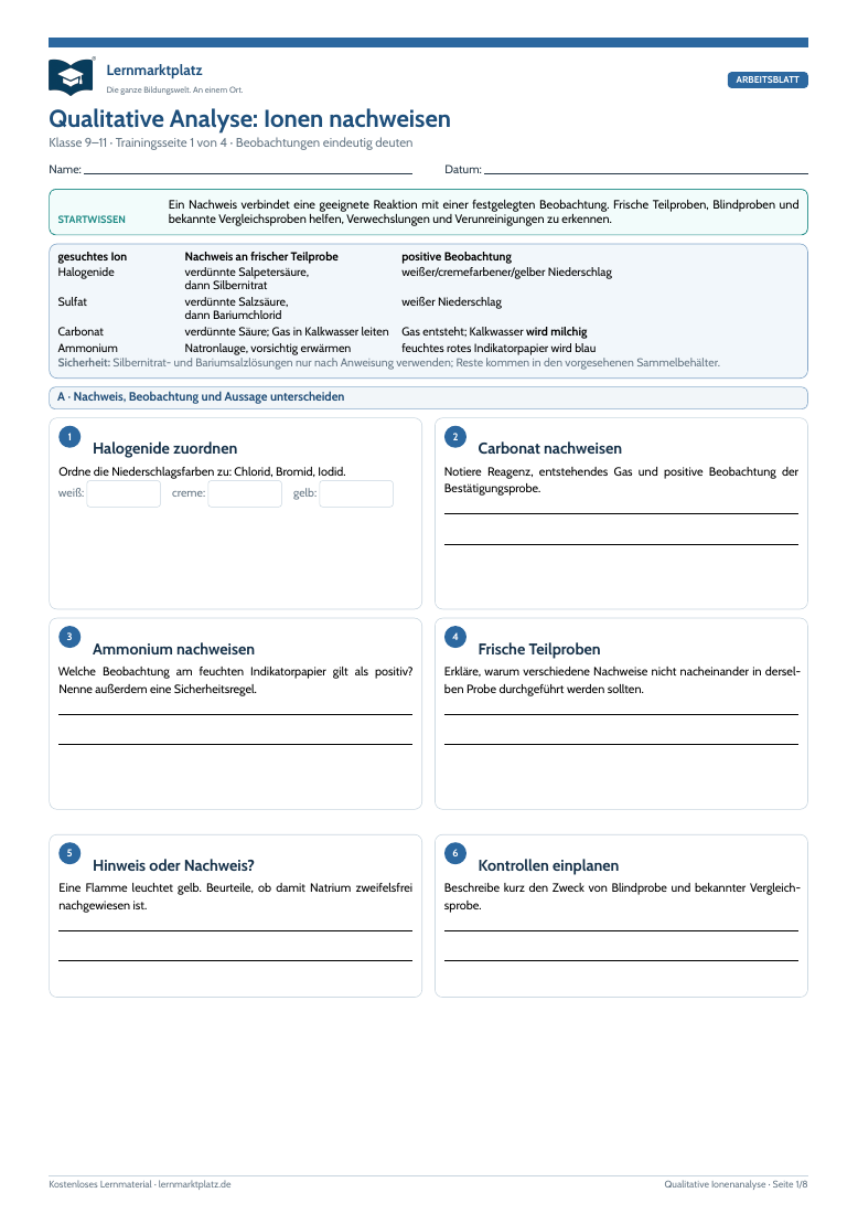 Vorschau des Chemie-Arbeitsblatts Qualitative Analyse: Ionen nachweisen