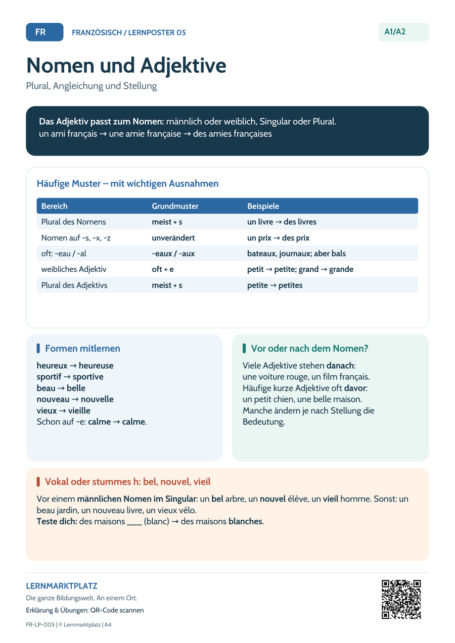 Französisch Lernposter: Plural, Angleichung und Stellung – Vorschau der PDF in A4 und A3