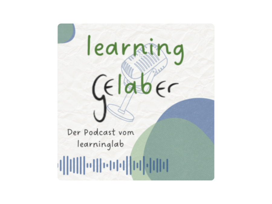 Learning Gelaber (ehm. das digitale Lagerfeuer) – Podcast für Schulentwicklung und digitale Bildung im Check