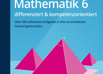 Mathematik 6 differenziert und kompetenzorientiert – Original-Buchcover