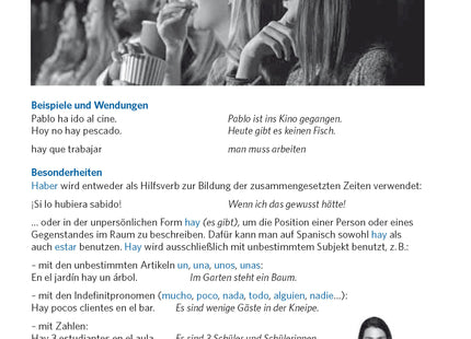 Beispielseite: Wendungen, Anwendungen und Besonderheiten von haber